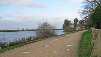 along the Saône River