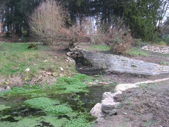 rebuilt pond