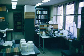 my laboratory