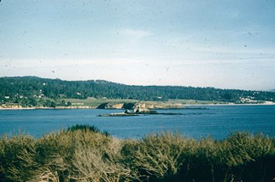 Pescadero Pt., Pebble Beach 1957