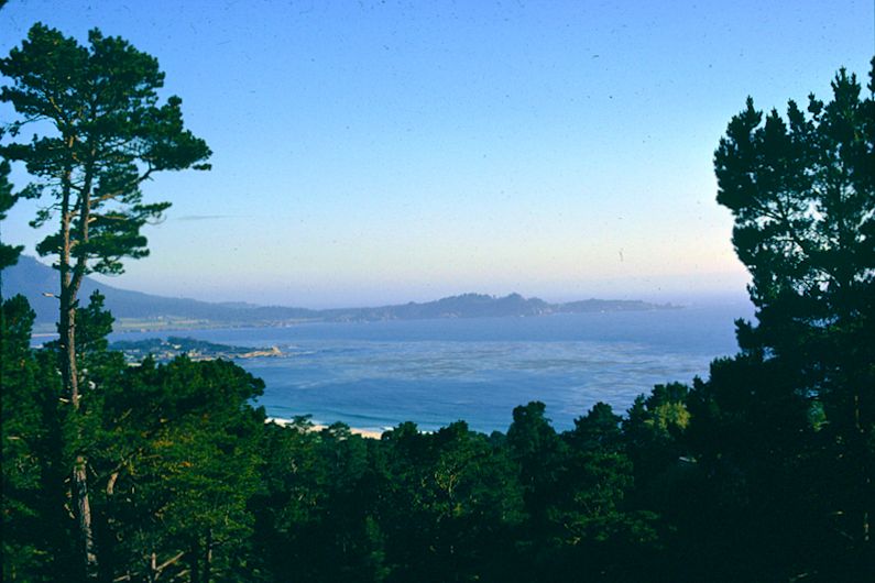 view of Point Lobos
