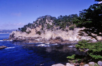 Pt. Lobos