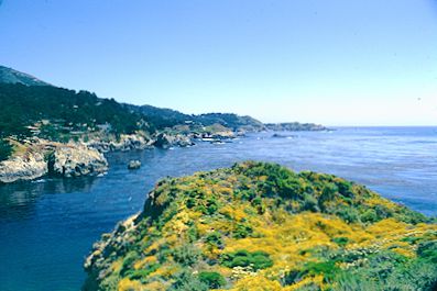 Point Lobos