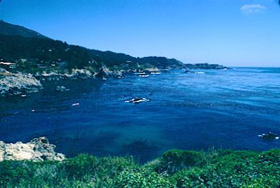 Point Lobos