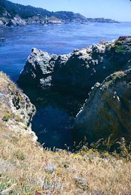 Point Lobos