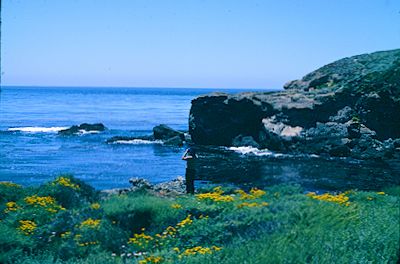 Point Lobos