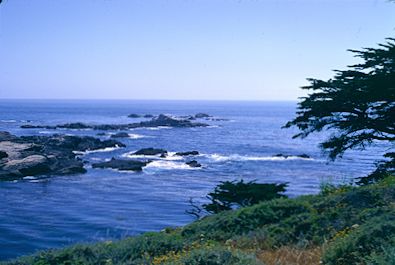 Point Lobos