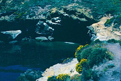 Point Lobos