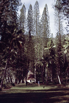 New Caledonia 1975