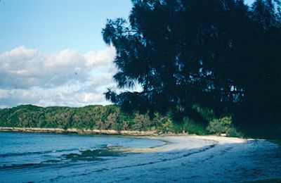 New Caledonia 1982