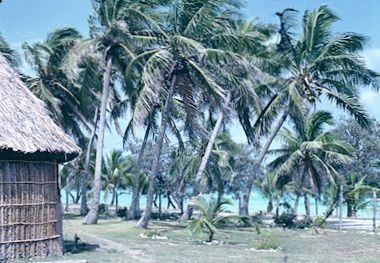 New Caledonia 1982