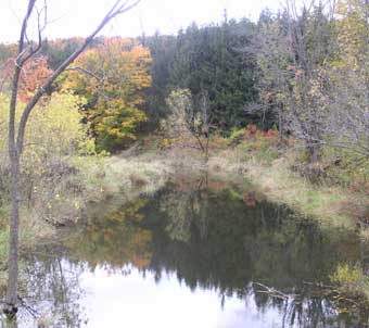 Quebec Gatineau Park