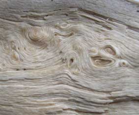 face in wood