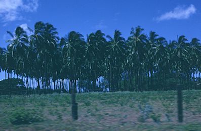 Kauai