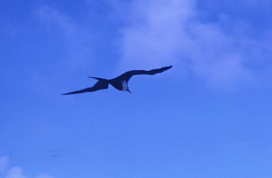 Kauai