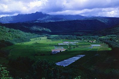 Kauai