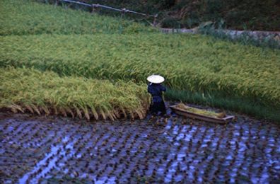 countryside of Japan