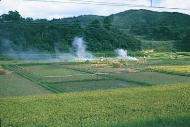 countryside of Japan