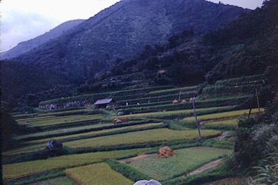 Japanese countryside