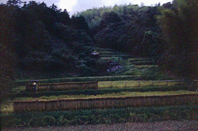 Japanese countryside