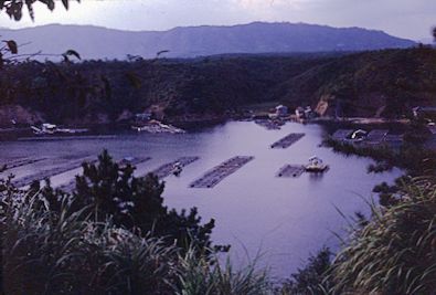 Japanese countryside