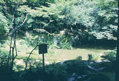 Gardens in Kyoto