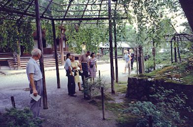 Gardens in Kyoto