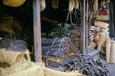 seaweeds on sale