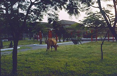 University, Tainan