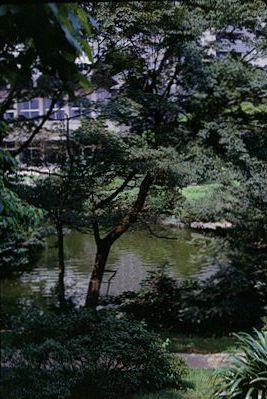 Korakuen Garden, Tokyo