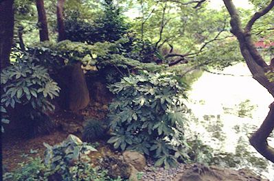 Korakuen Garden, Tokyo