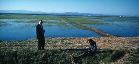 Bill Tilton and rice paddies