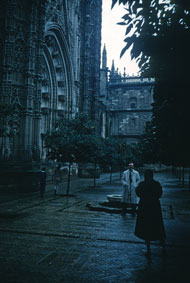 Seville Cathedral