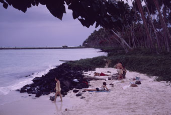 beach picnic