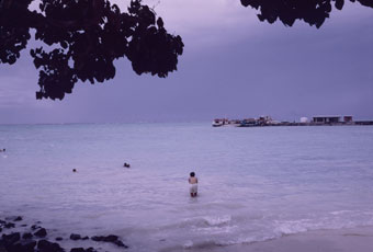 beach picnic