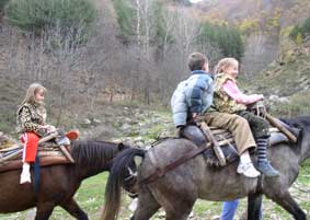 the horseback ride
