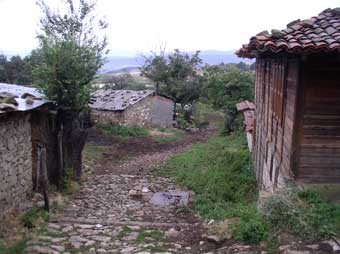 village path