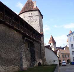 wall and towers