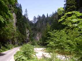 gorge of Yagodina