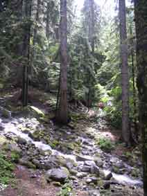 mountain stream at Bansko