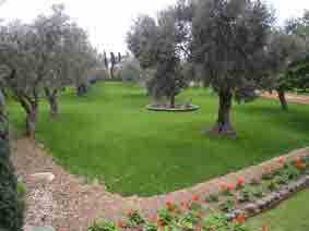 Bahji, gardens
