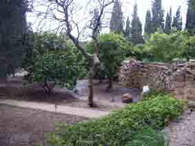 Masra'ih garden