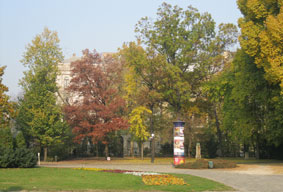 autumn trees by museum