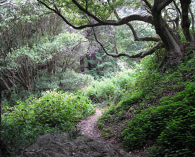 path to creek