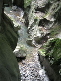 stream in gorge