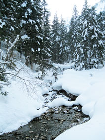 stream in the snow