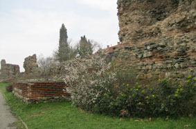Roman wall, spring flowers