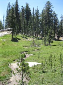 on the trail near May Lake