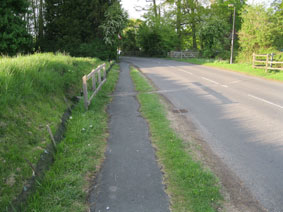 toad underpass