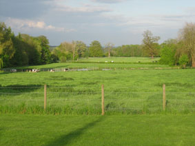 Madingley Hall view